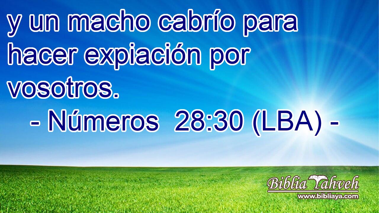 y un macho cabrío para hacer expiación por vosotros.