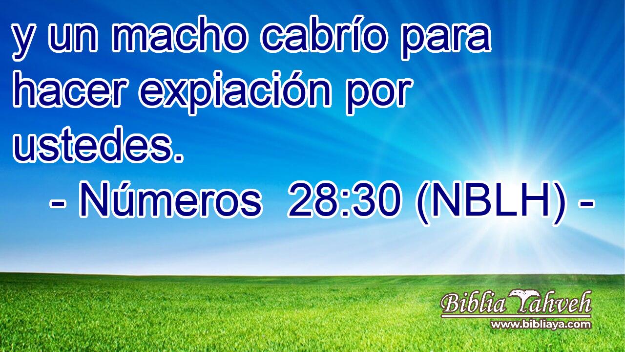  y un macho cabrío para hacer expiación por ustedes. 