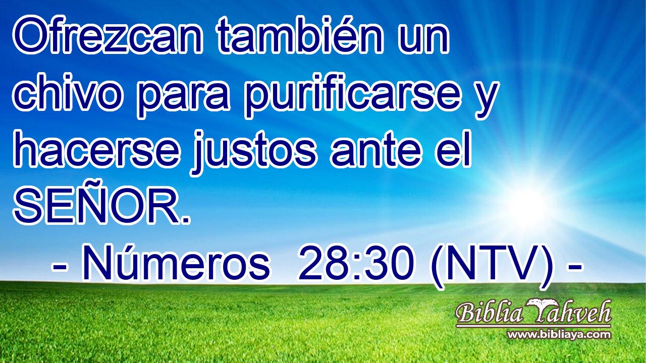 Ofrezcan también un chivo para purificarse y hacerse justos ante el SEÑOR.