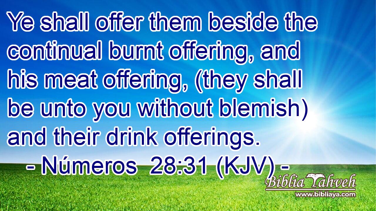 Ye shall offer them beside the continual burnt offering, and his meat offering, (they shall be unto you without blemish) and their drink offerings.