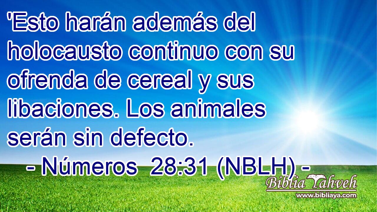  'Esto harán además del holocausto continuo con su ofrenda de cereal y sus libaciones. Los animales serán sin defecto. 