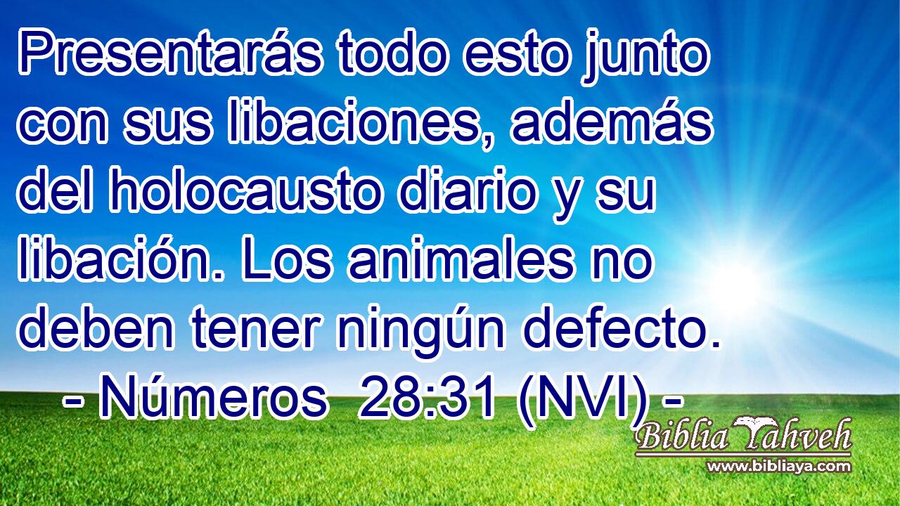  Presentarás todo esto junto con sus libaciones, además del holocausto diario y su libación. Los animales no deben tener ningún defecto. 