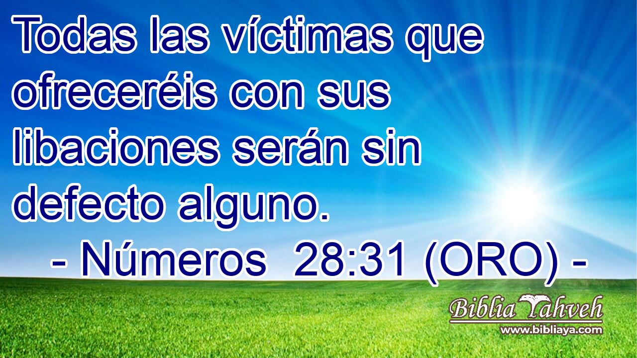 Todas las víctimas que ofreceréis con sus libaciones serán sin defecto alguno. 
