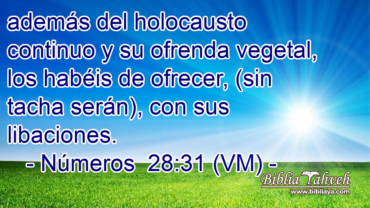  además del holocausto continuo y su ofrenda vegetal, los habéis de ofrecer, (sin tacha serán), con sus libaciones. 
