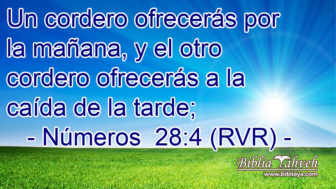 Un cordero ofrecerás por la mañana, y el otro cordero ofrecerás a la caída de la tarde;