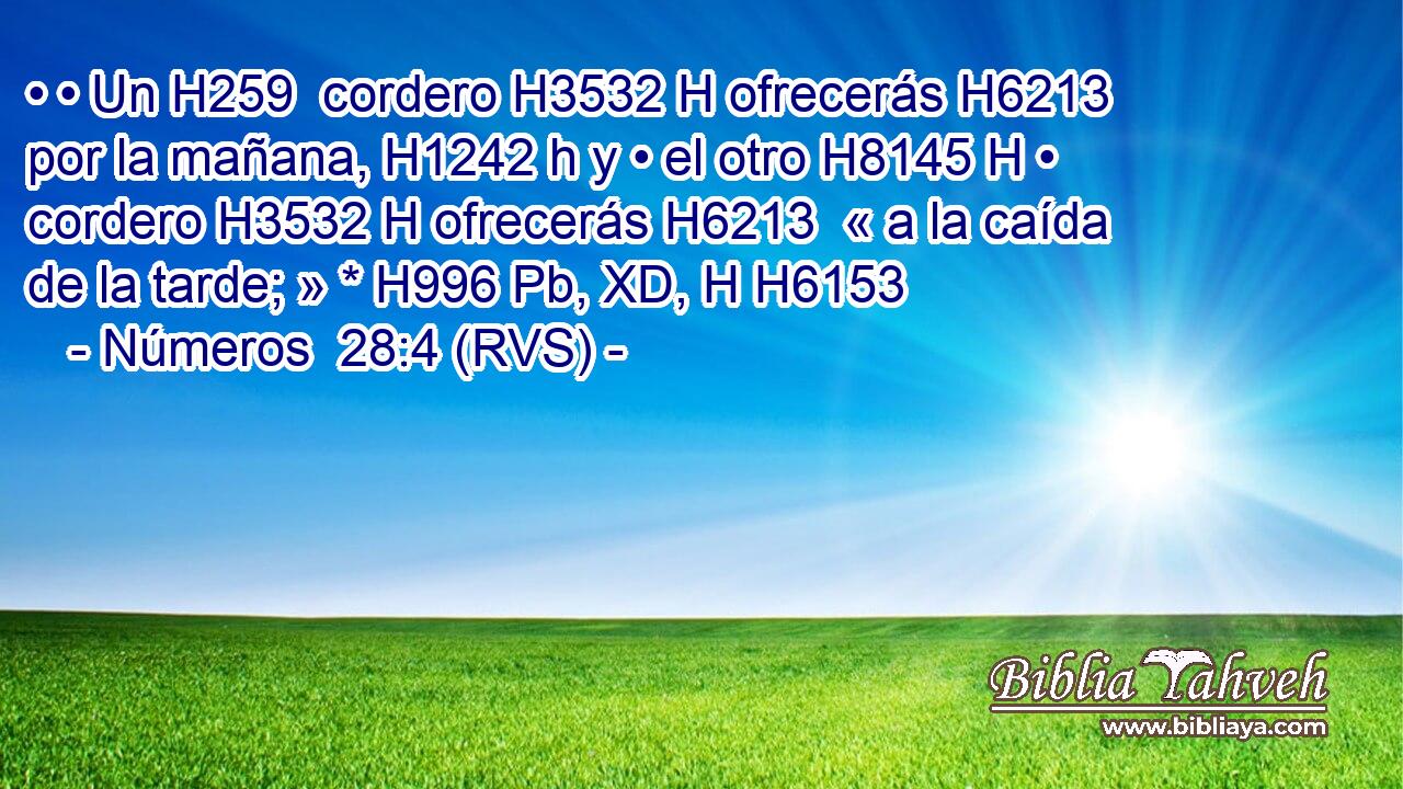 • • Un H259  cordero H3532 H ofrecerás H6213  por la mañana, H1242 h y • el otro H8145 H • cordero H3532 H ofrecerás H6213  « a la caída de la tarde; » * H996 Pb, XD, H H6153 