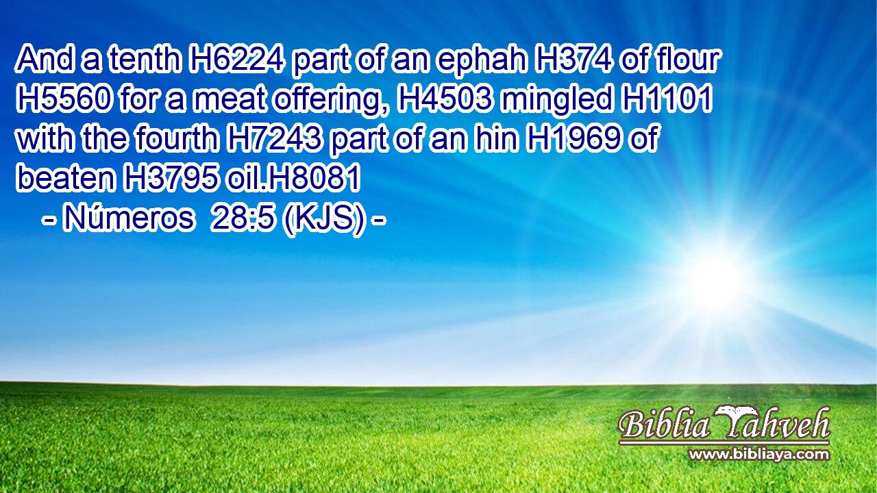 And a tenth H6224 part of an ephah H374 of flour H5560 for a meat offering, H4503 mingled H1101 with the fourth H7243 part of an hin H1969 of beaten H3795 oil.H8081