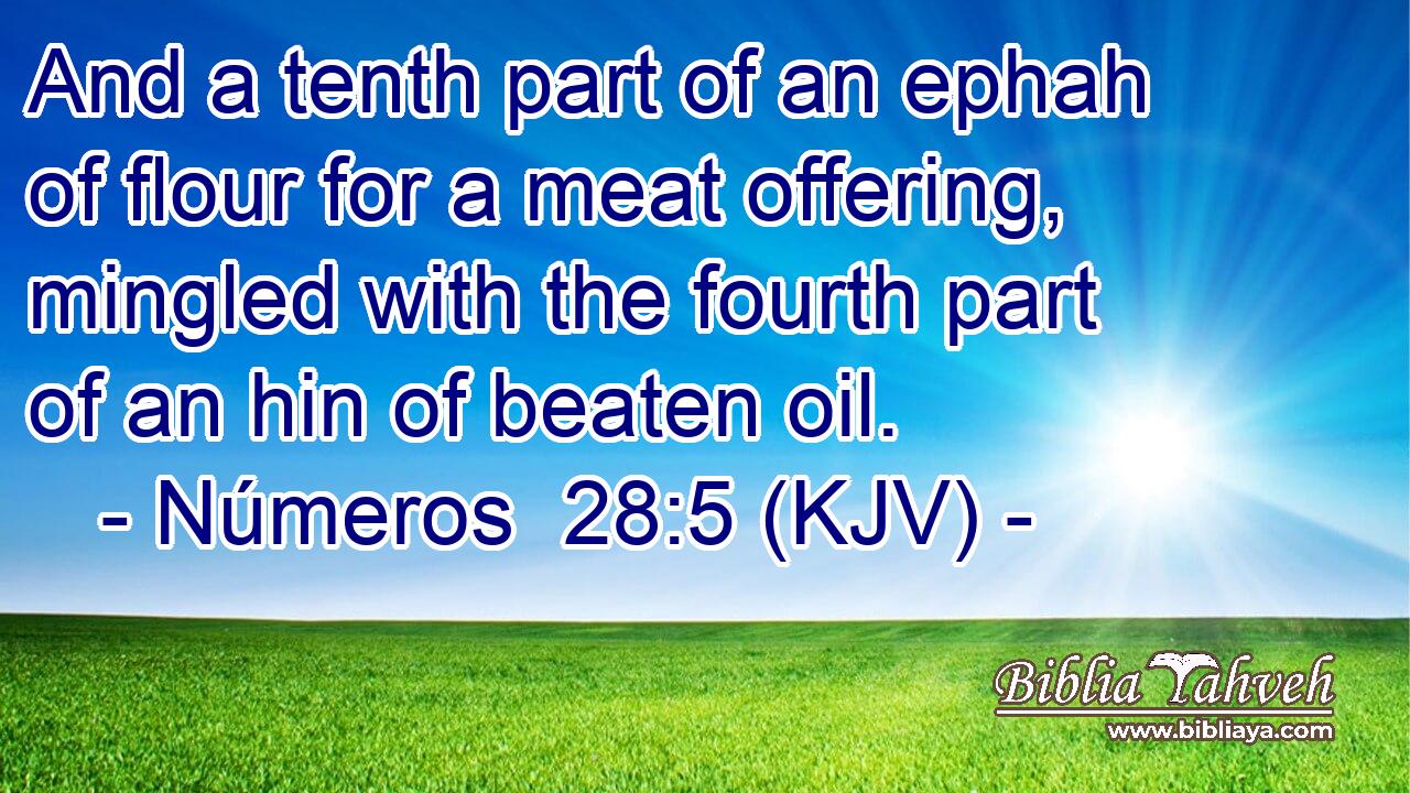 And a tenth part of an ephah of flour for a meat offering, mingled with the fourth part of an hin of beaten oil.