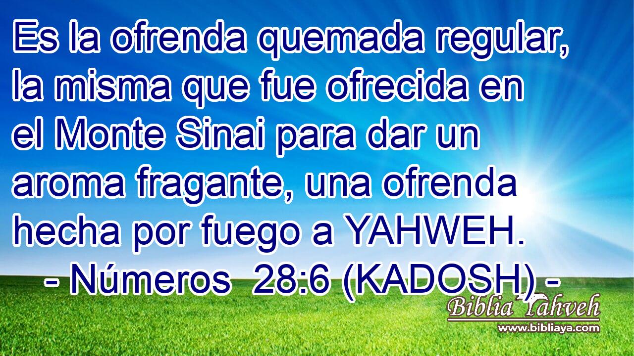  Es la ofrenda quemada regular, la misma que fue ofrecida en el Monte Sinai para dar un aroma fragante, una ofrenda hecha por fuego a YAHWEH. 