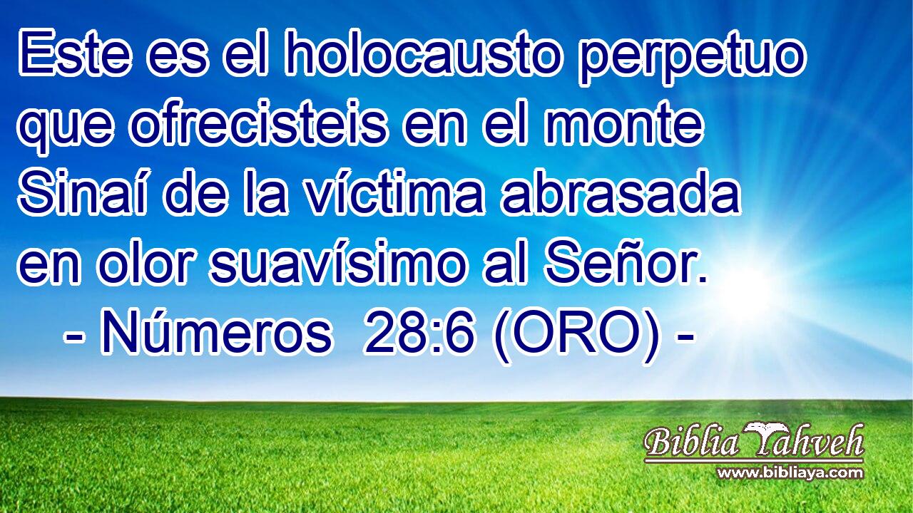  Este es el holocausto perpetuo que ofrecisteis en el monte Sinaí de la víctima abrasada en olor suavísimo al Señor. 