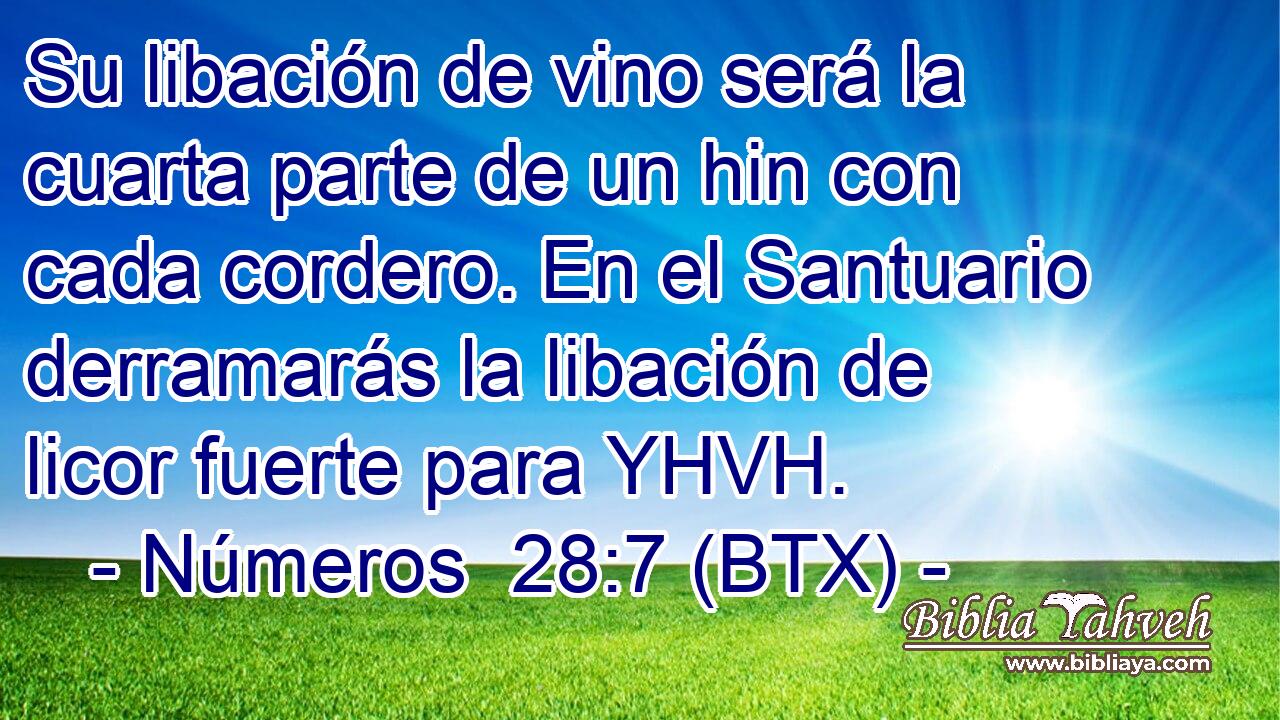 Su libación de vino será la cuarta parte de un hin con cada cordero. En el Santuario derramarás la libación de licor fuerte para YHVH.