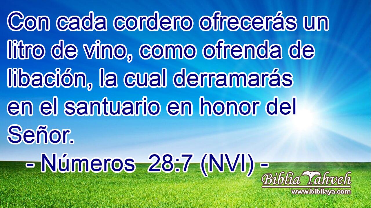  Con cada cordero ofrecerás un litro de vino, como ofrenda de libación, la cual derramarás en el santuario en honor del Señor. 