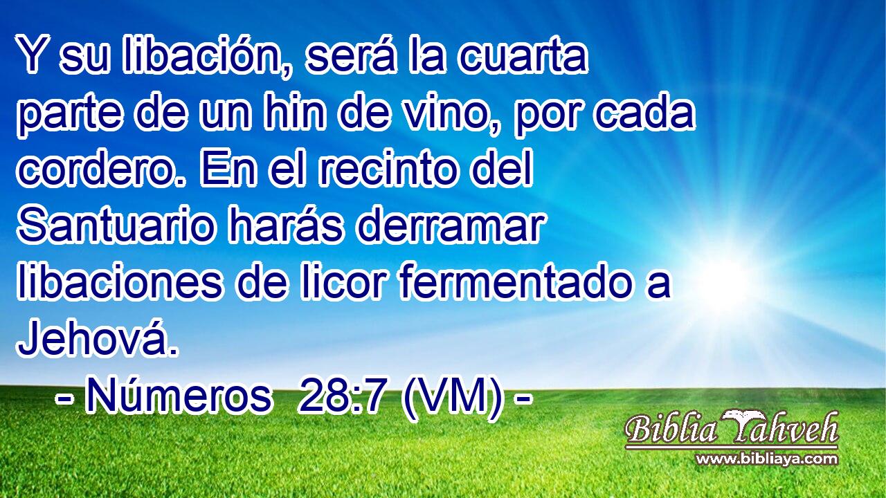  Y su libación, será la cuarta parte de un hin de vino, por cada cordero. En el recinto del Santuario harás derramar libaciones de licor fermentado a Jehová. 