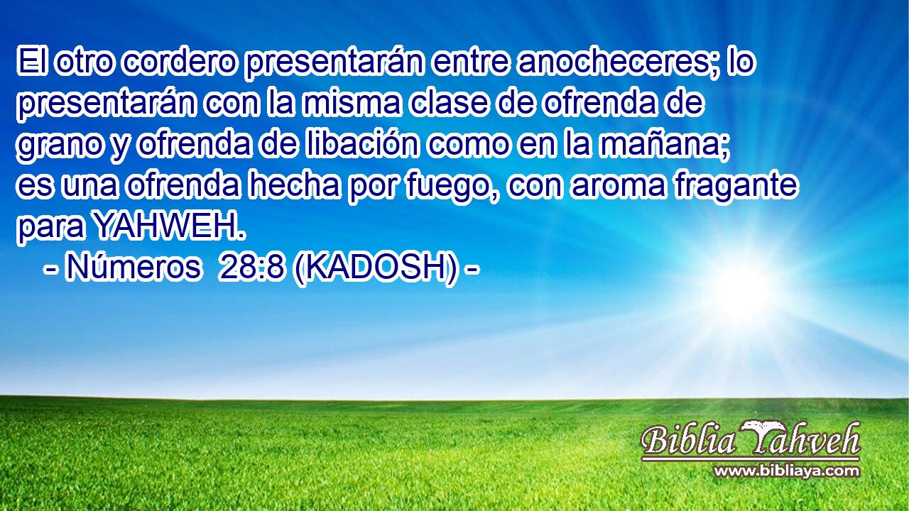  El otro cordero presentarán entre anocheceres; lo presentarán con la misma clase de ofrenda de grano y ofrenda de libación como en la mañana; es una ofrenda hecha por fuego, con aroma fragante para YAHWEH. 