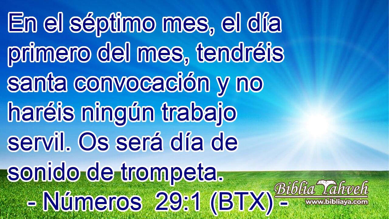 En el séptimo mes, el día primero del mes, tendréis santa convocación y no haréis ningún trabajo servil. Os será día de sonido de trompeta.