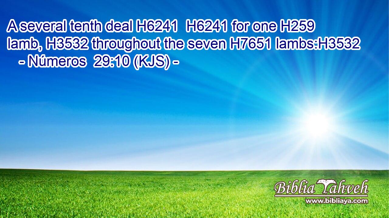 A several tenth deal H6241  H6241 for one H259 lamb, H3532 throughout the seven H7651 lambs:H3532