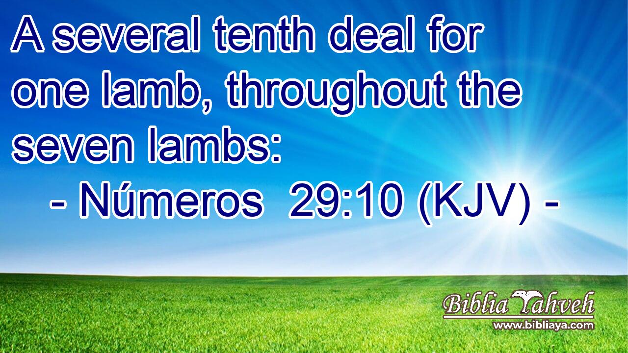 A several tenth deal for one lamb, throughout the seven lambs: