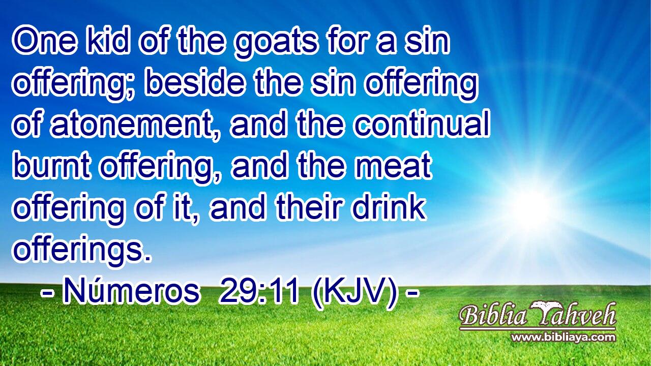 One kid of the goats for a sin offering; beside the sin offering of atonement, and the continual burnt offering, and the meat offering of it, and their drink offerings.