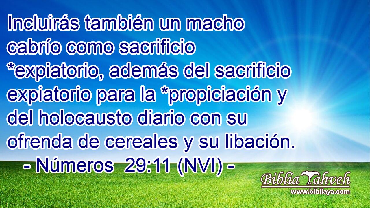  Incluirás también un macho cabrío como sacrificio *expiatorio, además del sacrificio expiatorio para la *propiciación y del holocausto diario con su ofrenda de cereales y su libación. 