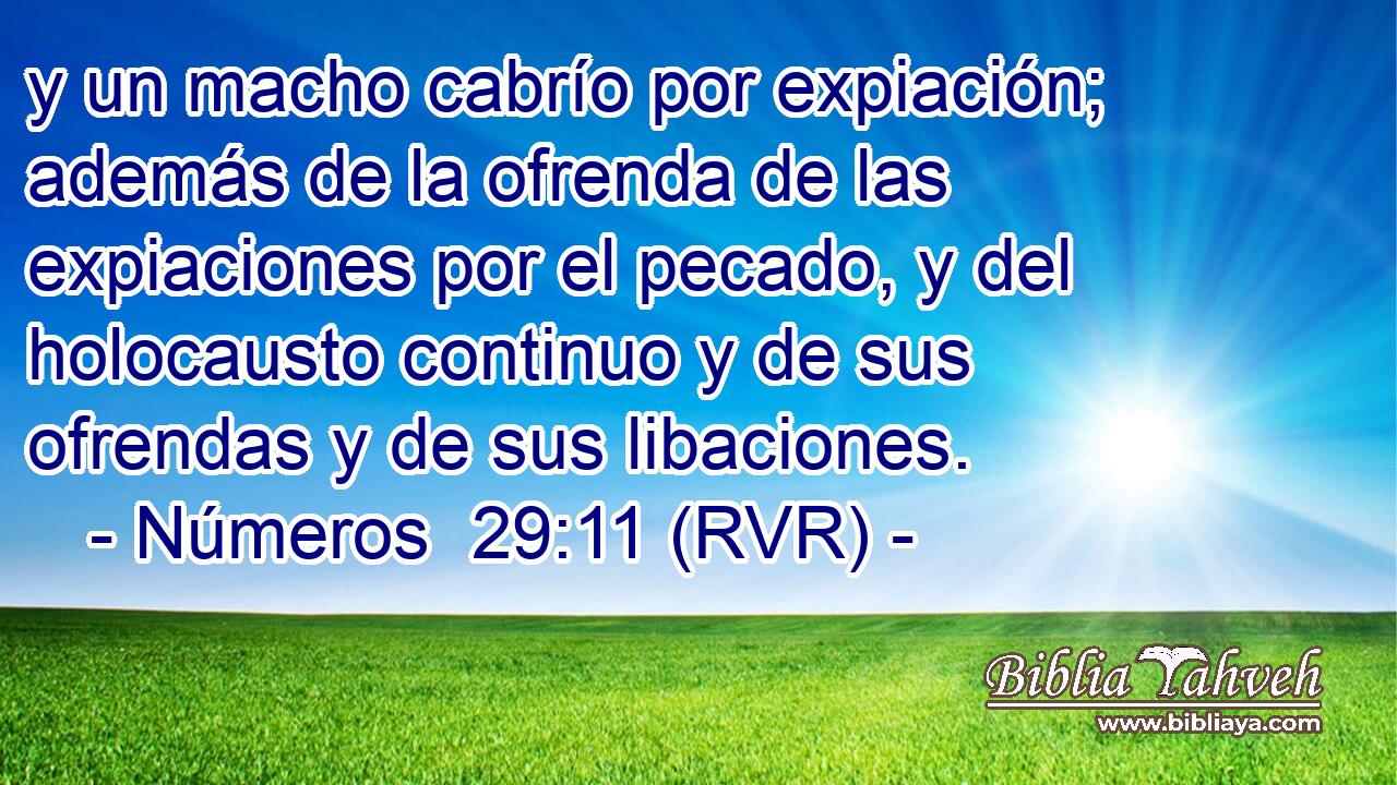 y un macho cabrío por expiación; además de la ofrenda de las expiaciones por el pecado, y del holocausto continuo y de sus ofrendas y de sus libaciones.