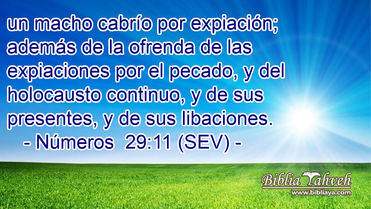 un macho cabrío por expiación; además de la ofrenda de las expiaciones por el pecado, y del holocausto continuo, y de sus presentes, y de sus libaciones.