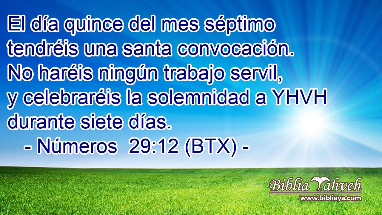 El día quince del mes séptimo tendréis una santa convocación. No haréis ningún trabajo servil, y celebraréis la solemnidad a YHVH durante siete días.