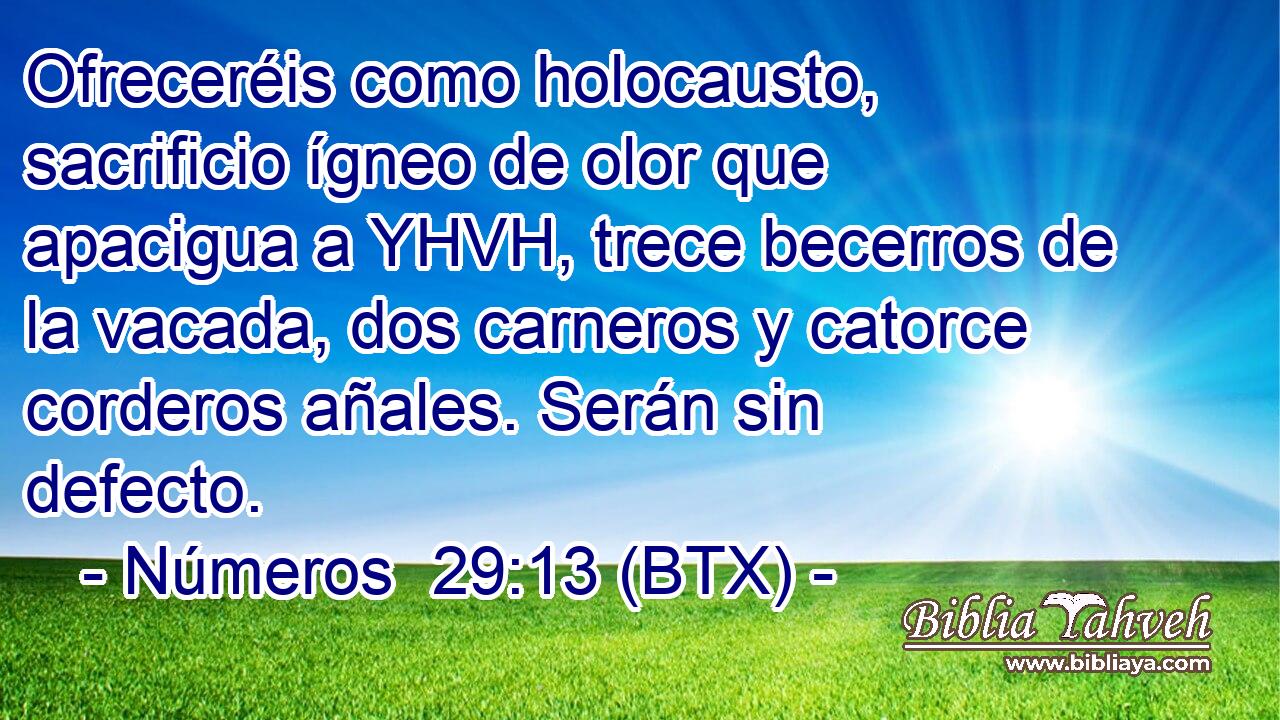 Ofreceréis como holocausto, sacrificio ígneo de olor que apacigua a YHVH, trece becerros de la vacada, dos carneros y catorce corderos añales. Serán sin defecto.