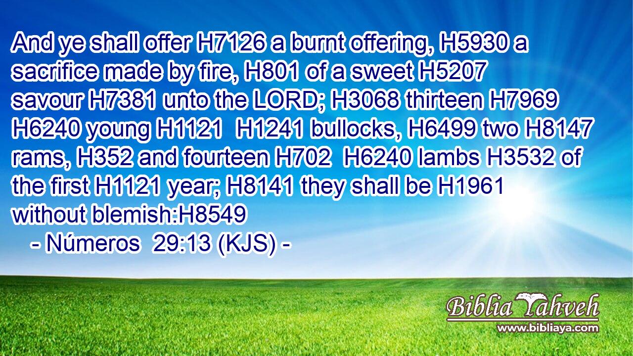 And ye shall offer H7126 a burnt offering, H5930 a sacrifice made by fire, H801 of a sweet H5207 savour H7381 unto the LORD; H3068 thirteen H7969  H6240 young H1121  H1241 bullocks, H6499 two H8147 rams, H352 and fourteen H702  H6240 lambs H3532 of the first H1121 year; H8141 they shall be H1961 without blemish:H8549