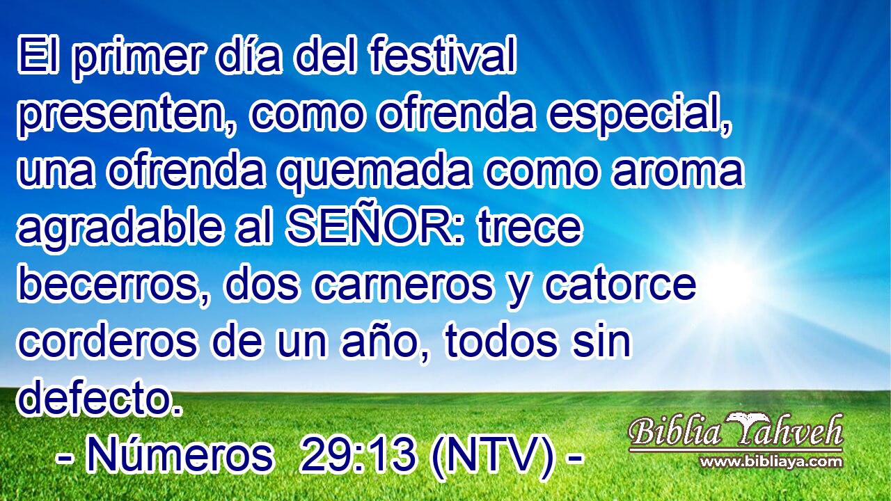 El primer día del festival presenten, como ofrenda especial, una ofrenda quemada como aroma agradable al SEÑOR: trece becerros, dos carneros y catorce corderos de un año, todos sin defecto.