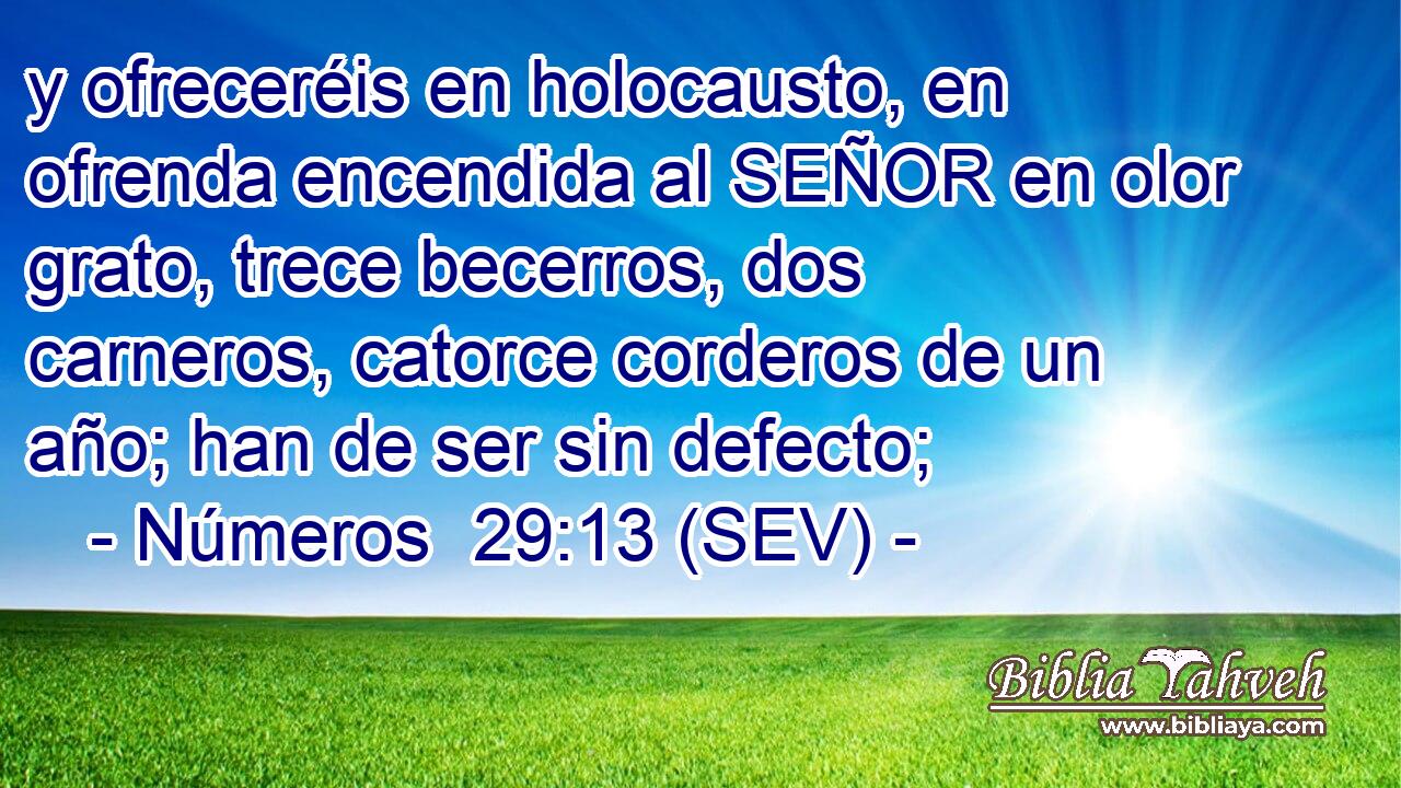 y ofreceréis en holocausto, en ofrenda encendida al SEÑOR en olor grato, trece becerros, dos carneros, catorce corderos de un año; han de ser sin defecto;