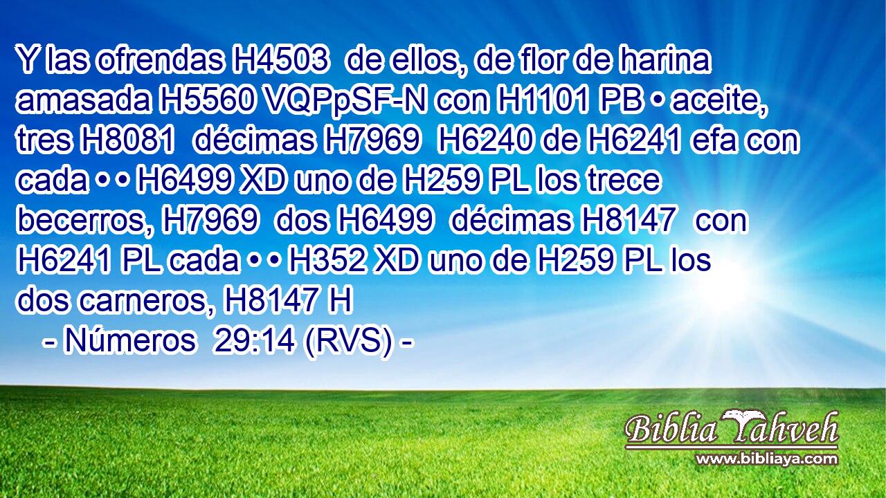 Y las ofrendas H4503  de ellos, de flor de harina amasada H5560 VQPpSF-N con H1101 PB • aceite, tres H8081  décimas H7969  H6240 de H6241 efa con cada • • H6499 XD uno de H259 PL los trece becerros, H7969  dos H6499  décimas H8147  con H6241 PL cada • • H352 XD uno de H259 PL los dos carneros, H8147 H 