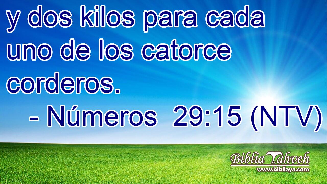 y dos kilos para cada uno de los catorce corderos.