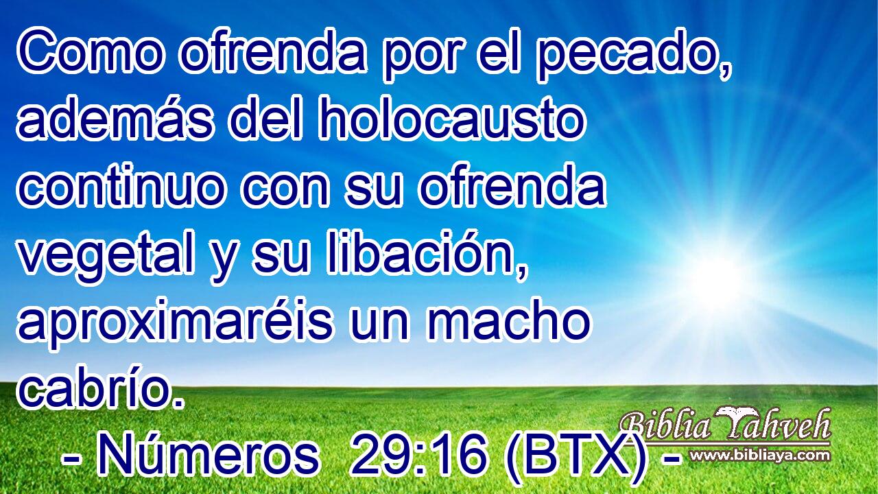Como ofrenda por el pecado, además del holocausto continuo con su ofrenda vegetal y su libación, aproximaréis un macho cabrío.