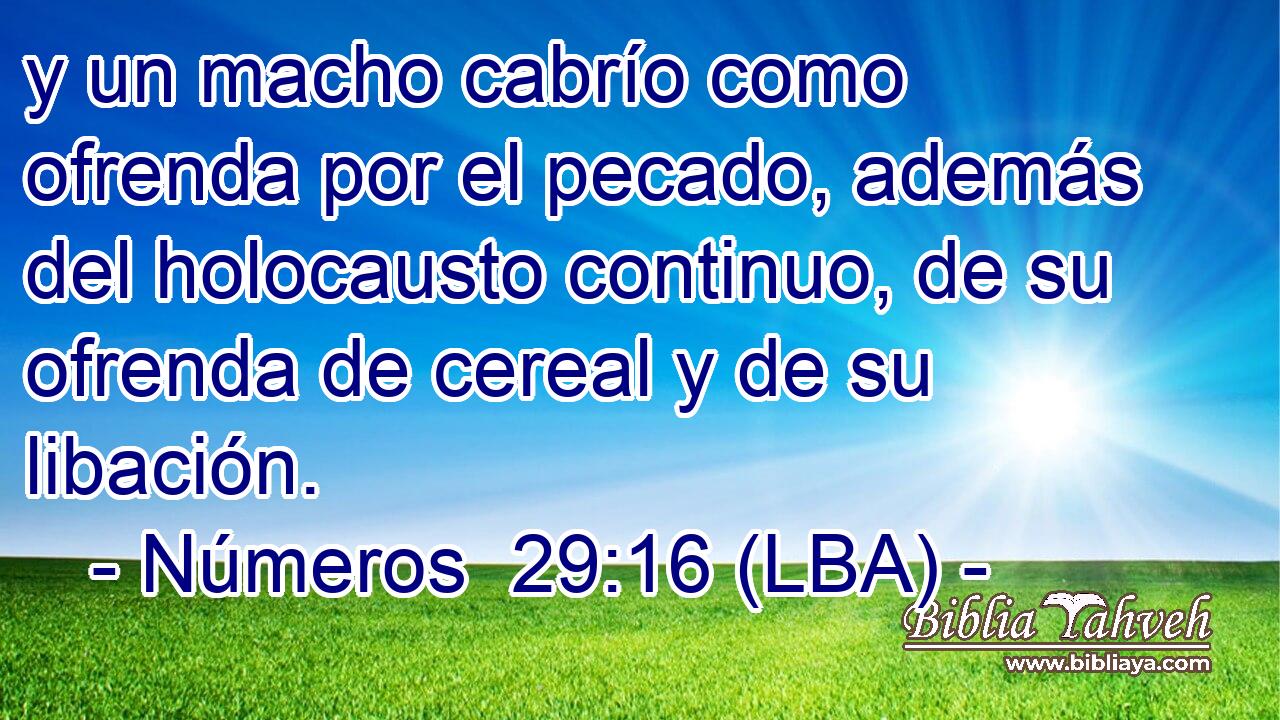 y un macho cabrío como ofrenda por el pecado, además del holocausto continuo, de su ofrenda de cereal y de su libación.