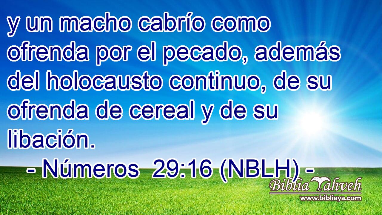  y un macho cabrío como ofrenda por el pecado, además del holocausto continuo, de su ofrenda de cereal y de su libación. 