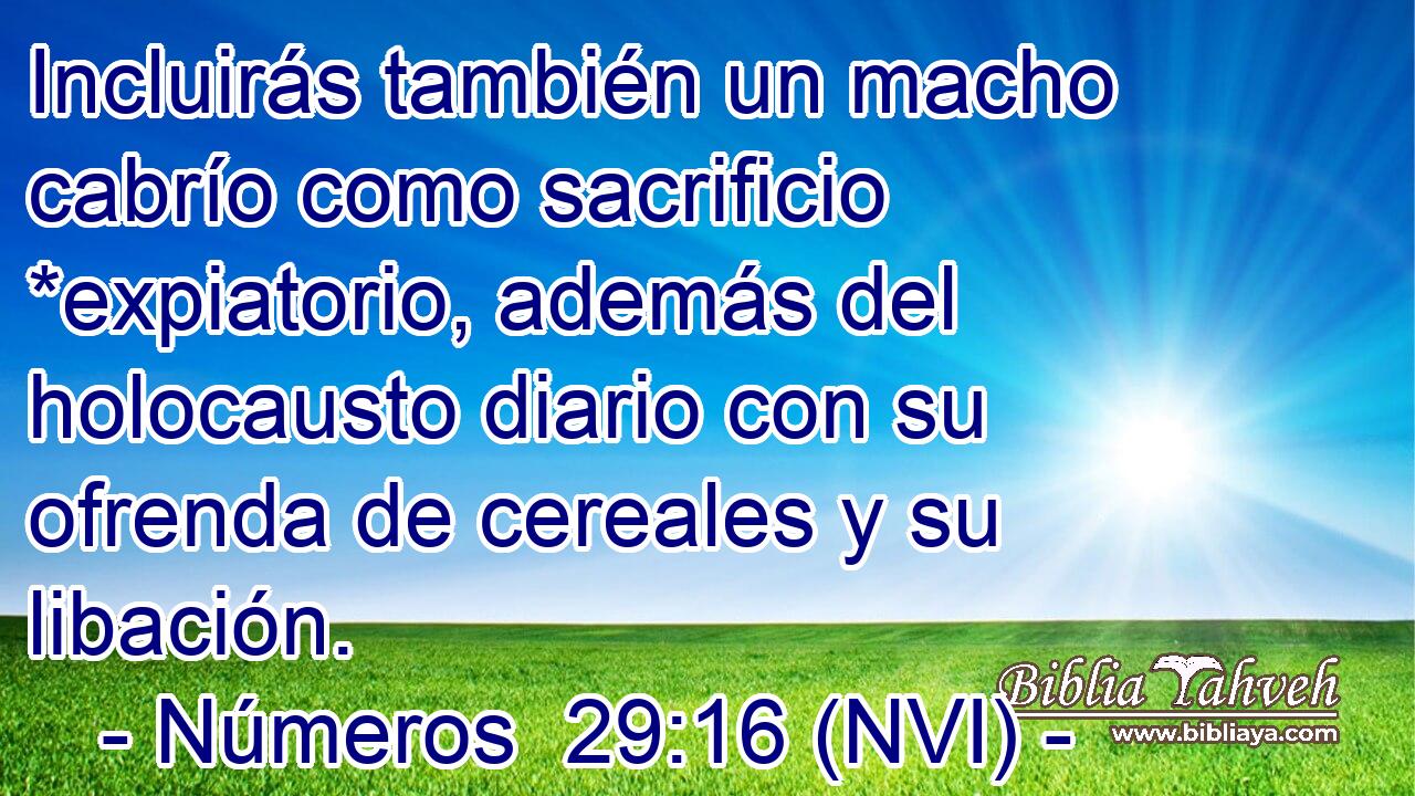  Incluirás también un macho cabrío como sacrificio *expiatorio, además del holocausto diario con su ofrenda de cereales y su libación. 