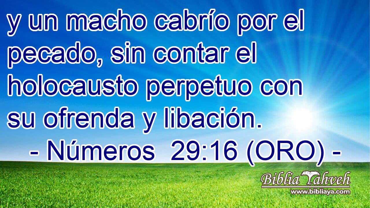  y un macho cabrío por el pecado, sin contar el holocausto perpetuo con su ofrenda y libación. 