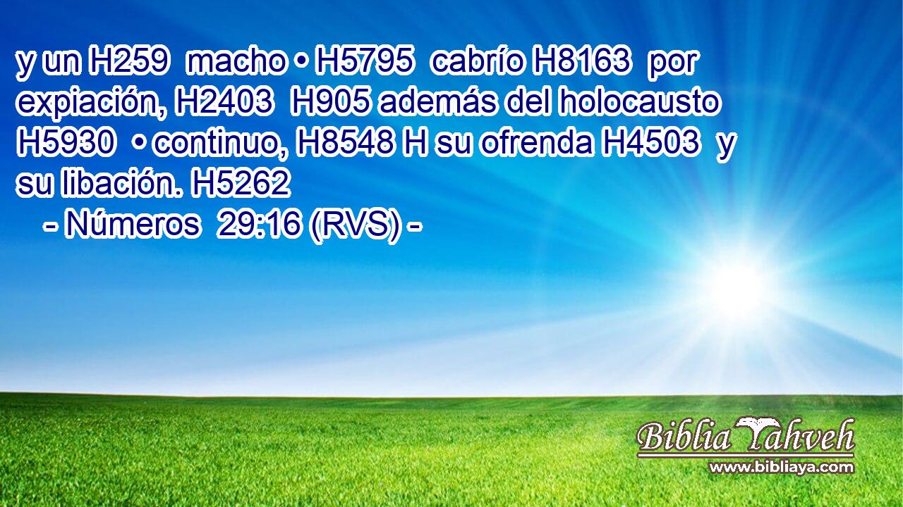 y un H259  macho • H5795  cabrío H8163  por expiación, H2403  H905 además del holocausto H5930  • continuo, H8548 H su ofrenda H4503  y su libación. H5262  