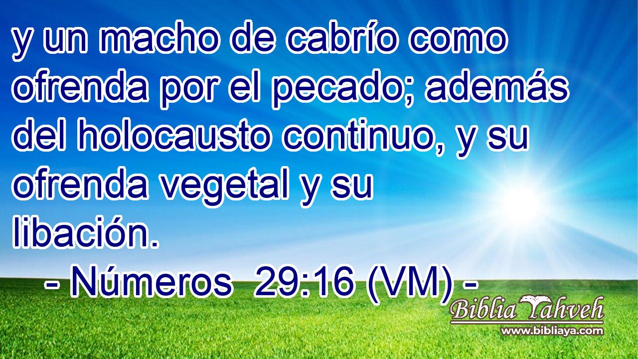  y un macho de cabrío como ofrenda por el pecado; además del holocausto continuo, y su ofrenda vegetal y su libación. 