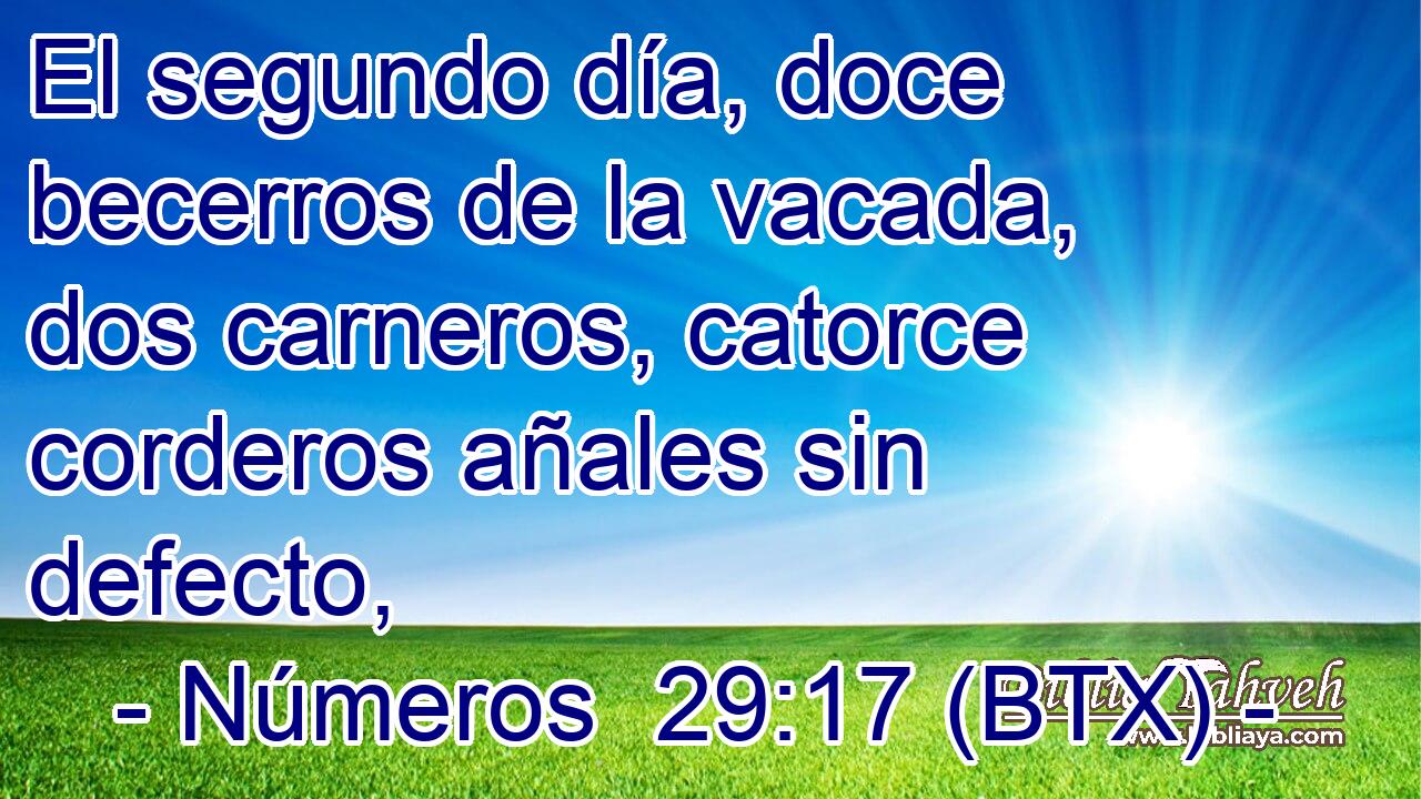 El segundo día, doce becerros de la vacada, dos carneros, catorce corderos añales sin defecto,