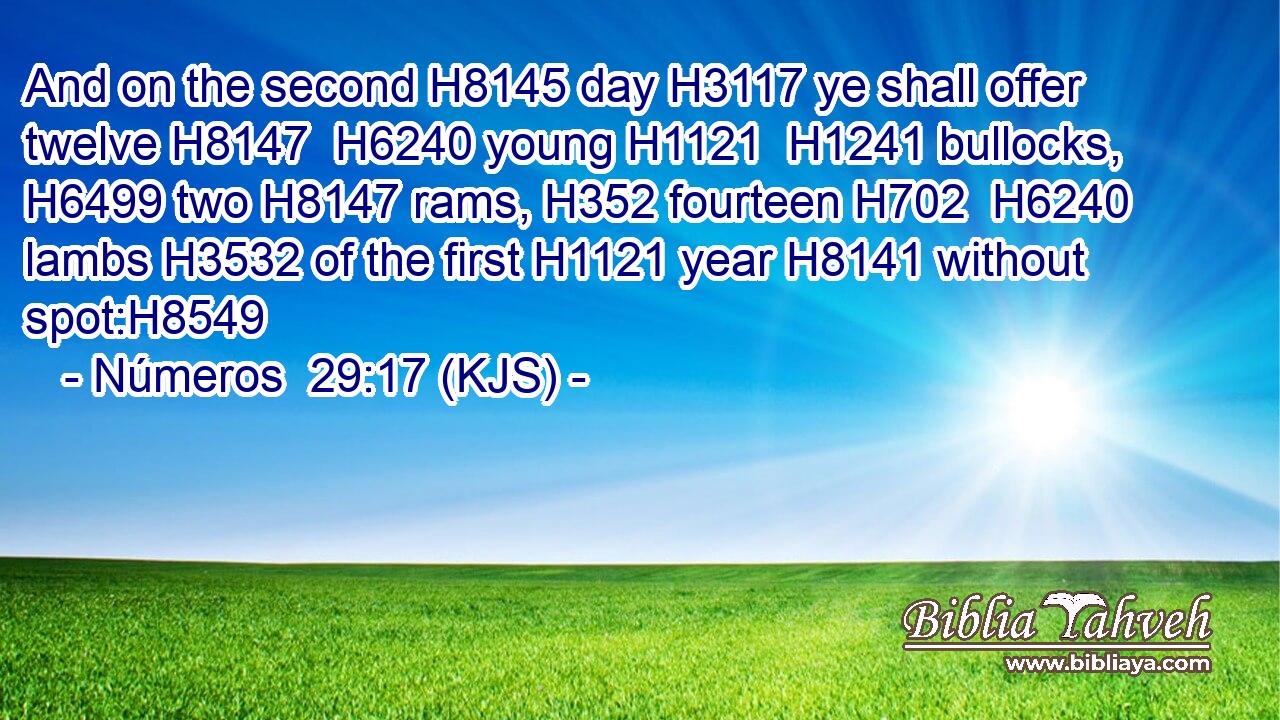 And on the second H8145 day H3117 ye shall offer twelve H8147  H6240 young H1121  H1241 bullocks, H6499 two H8147 rams, H352 fourteen H702  H6240 lambs H3532 of the first H1121 year H8141 without spot:H8549