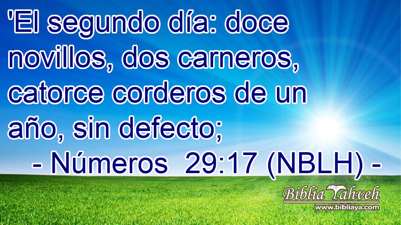  'El segundo día: doce novillos, dos carneros, catorce corderos de un año, sin defecto; 