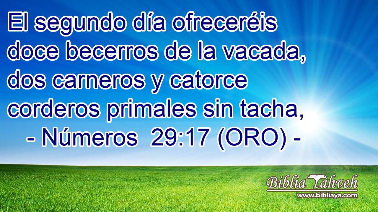  El segundo día ofreceréis doce becerros de la vacada, dos carneros y catorce corderos primales sin tacha, 