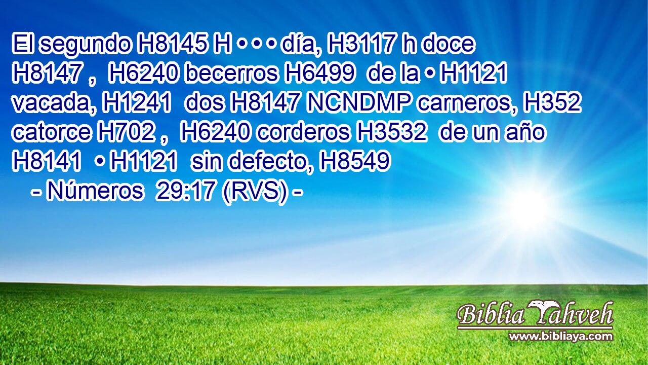 El segundo H8145 H • • • día, H3117 h doce H8147 ,  H6240 becerros H6499  de la • H1121  vacada, H1241  dos H8147 NCNDMP carneros, H352  catorce H702 ,  H6240 corderos H3532  de un año H8141  • H1121  sin defecto, H8549  