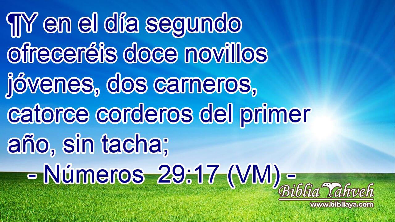  ¶Y en el día segundo ofreceréis doce novillos jóvenes, dos carneros, catorce corderos del primer año, sin tacha; 