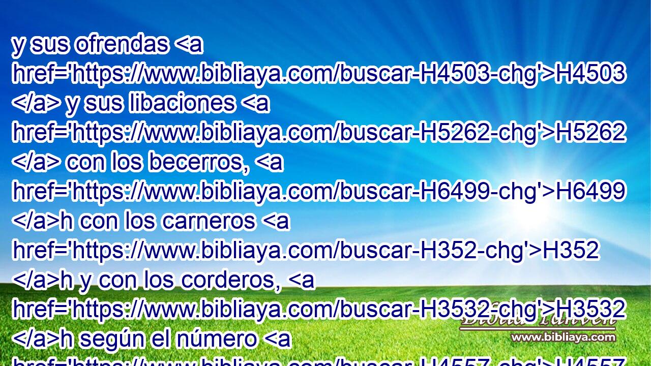 y sus ofrendas H4503  y sus libaciones H5262  con los becerros, H6499 h con los carneros H352 h y con los corderos, H3532 h según el número H4557  de ellos, conforme a la ley; H4941 h 