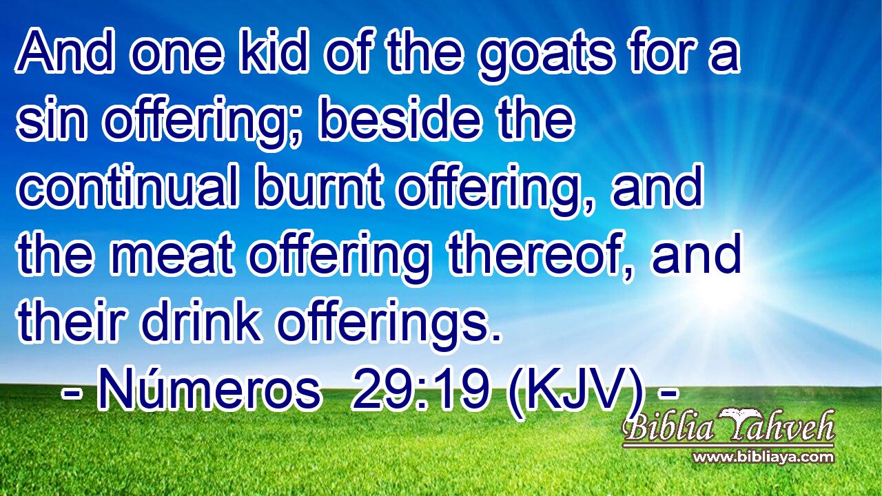 And one kid of the goats for a sin offering; beside the continual burnt offering, and the meat offering thereof, and their drink offerings.