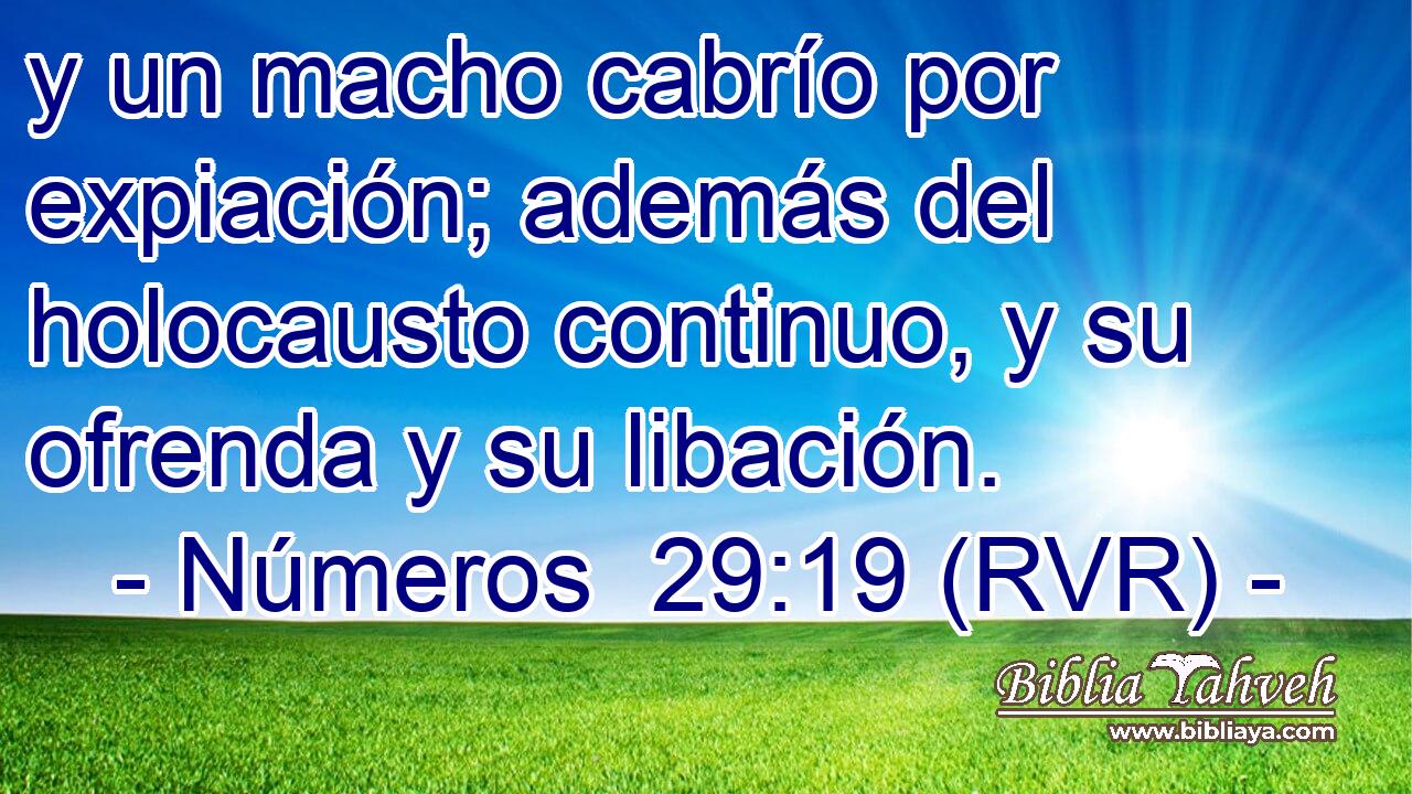 y un macho cabrío por expiación; además del holocausto continuo, y su ofrenda y su libación.