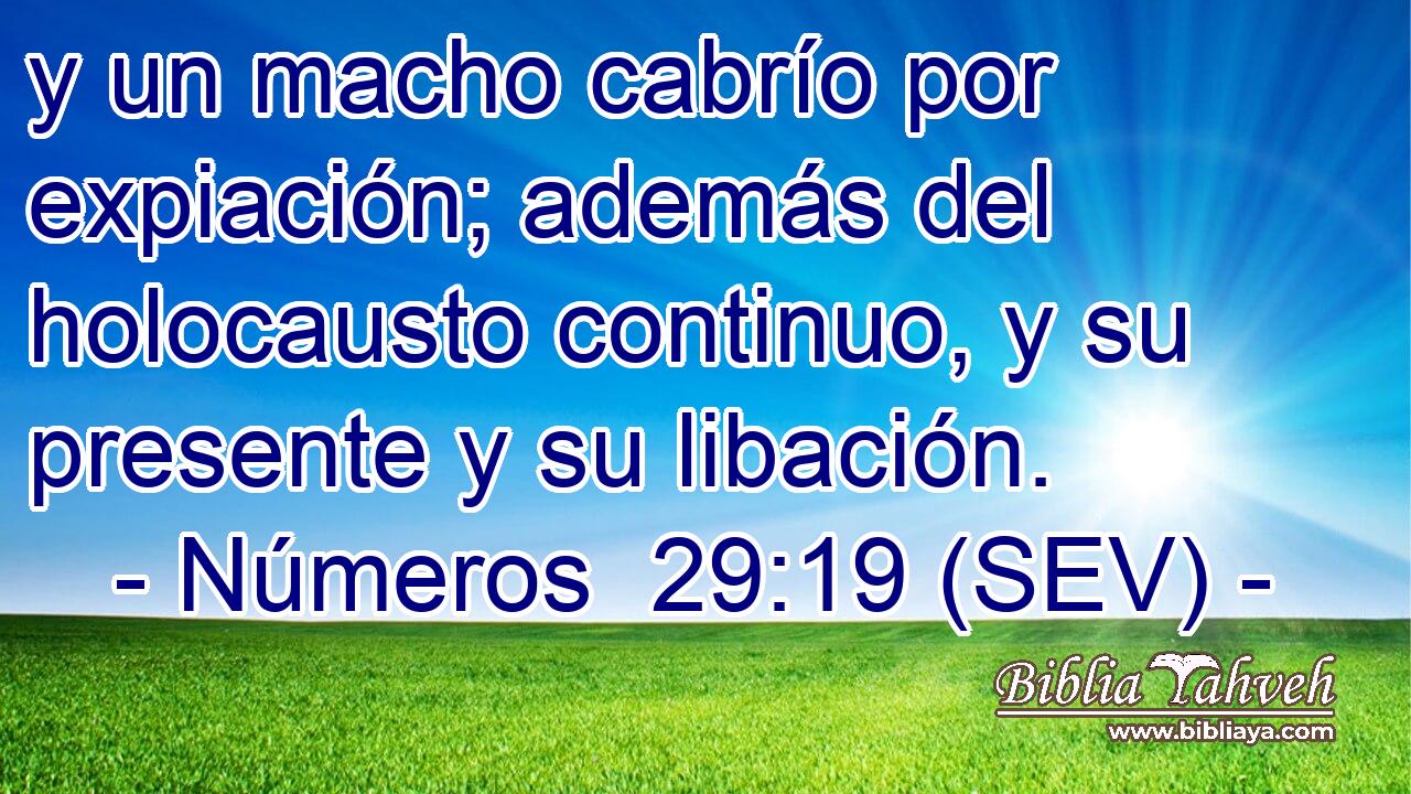 y un macho cabrío por expiación; además del holocausto continuo, y su presente y su libación.