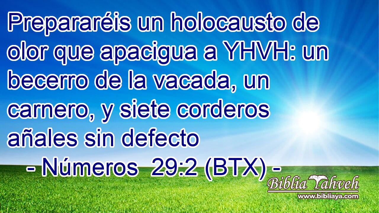 Prepararéis un holocausto de olor que apacigua a YHVH: un becerro de la vacada, un carnero, y siete corderos añales sin defecto